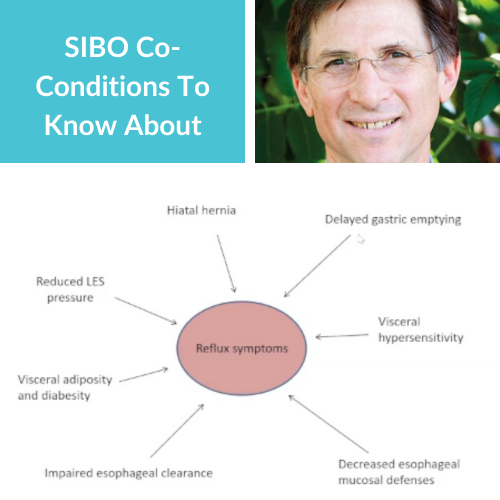 1st Step to Treating SIBO Masterclass Summit (Special Offer)