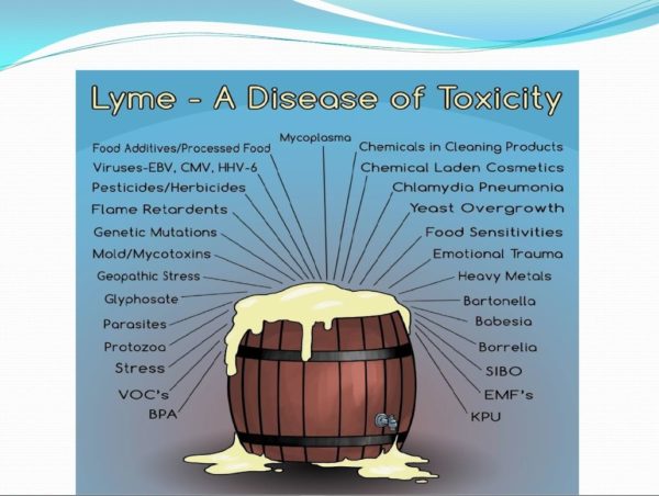 Lyme Disease & SIBO: Symptoms, Testing, and Treatment - Image 2