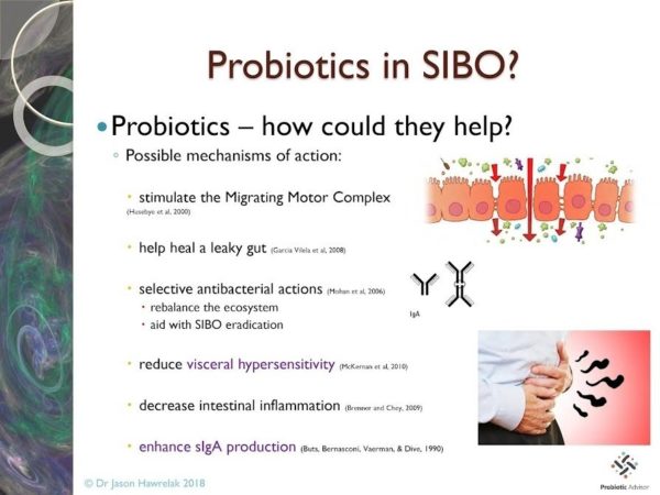 What Every SIBO Patient Needs To Know About Their Microbiome And Probiotics Masterclass 1
